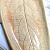 Liść ceramiczny