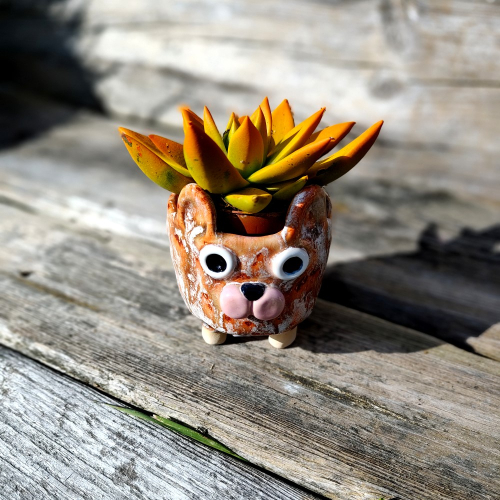 Osłonka na doniczkę