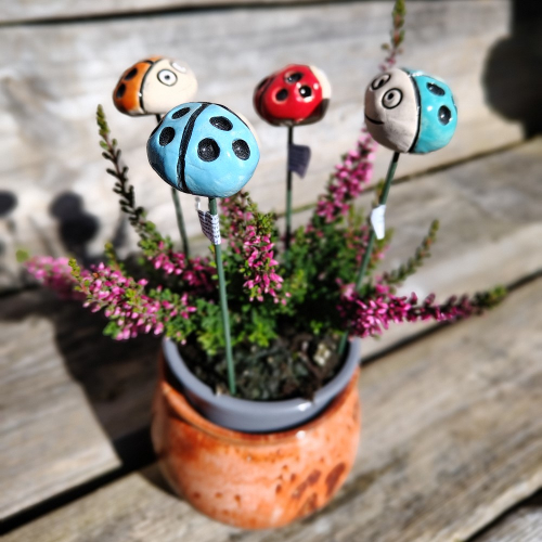 Biedronka na druciku