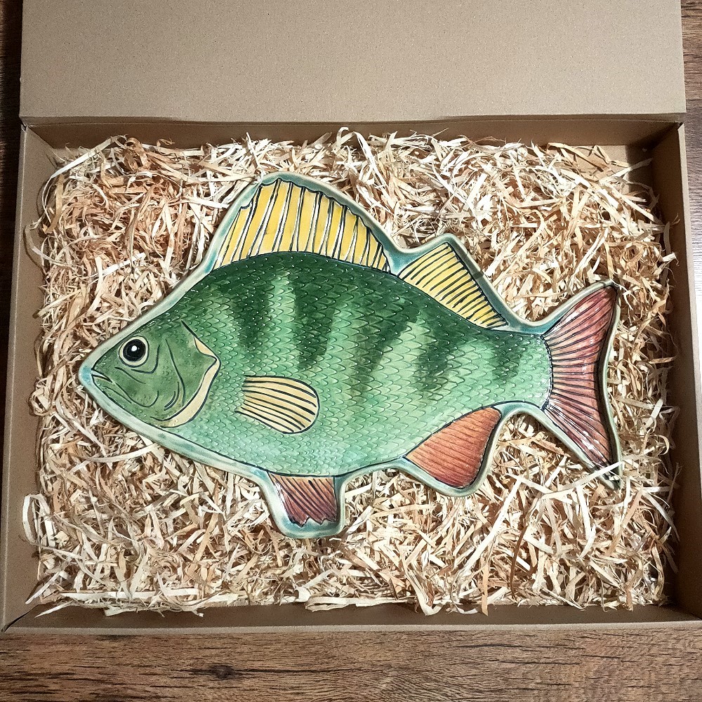 Patera ryba